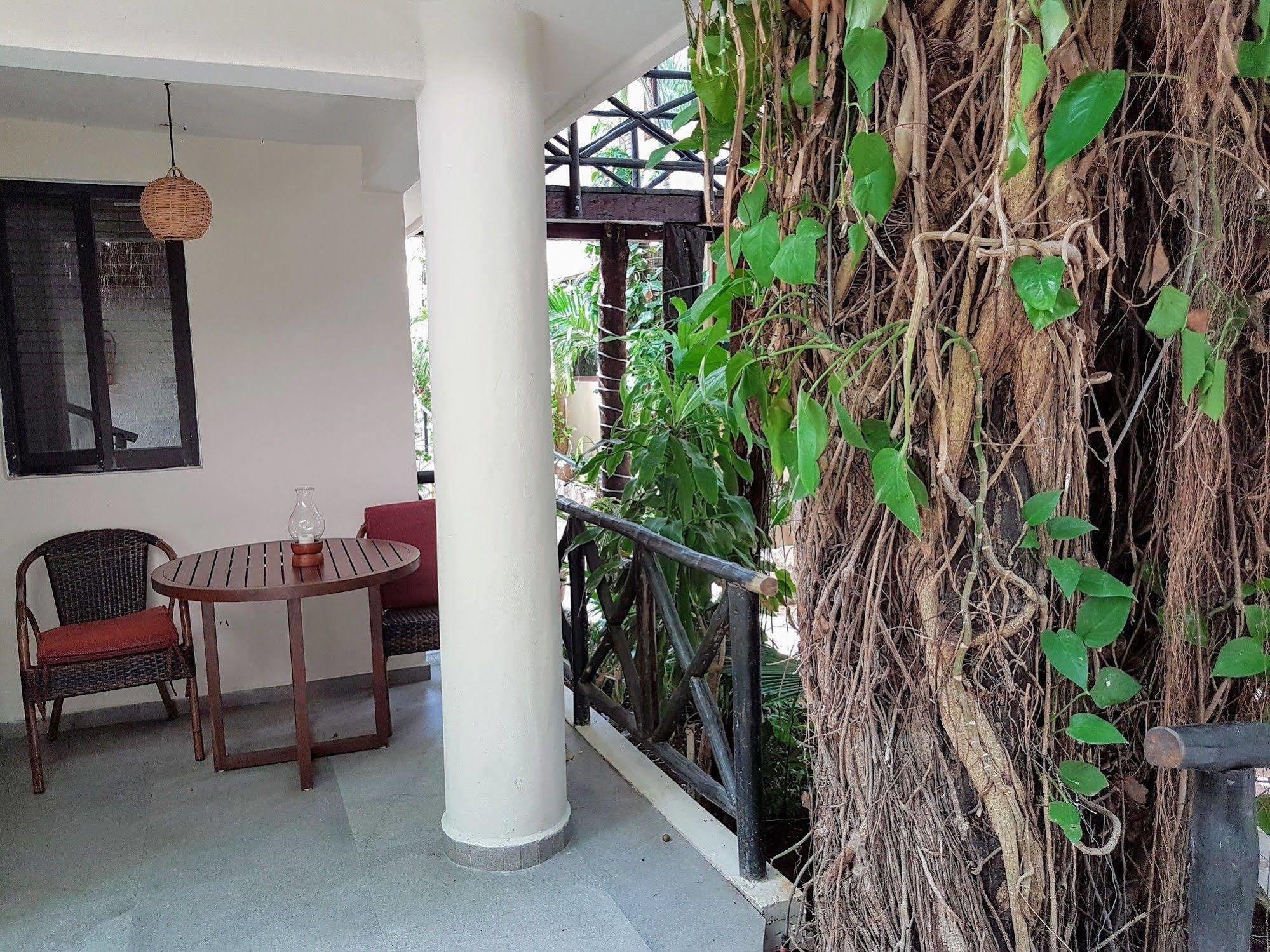 Hotel Club Yebo 신데 델 카르멘 외부 사진